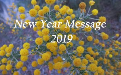 New Year Message 2019